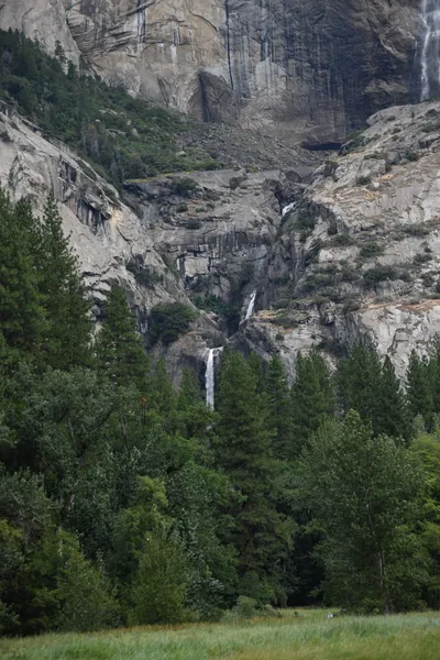 DSC_4652 (Large).JPG